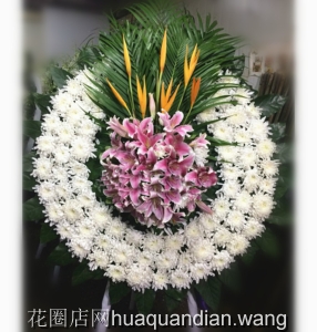 ͬ-õ壬ջҶϻȦͼƣֱԼΪ1ףԼΪ1.6<Ȧ>